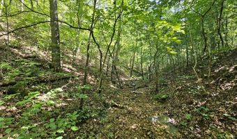 65 Acres Plainview Rd, Anderson, MO 64831