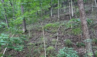Lot 161 LEE RD, Basye, VA 22810