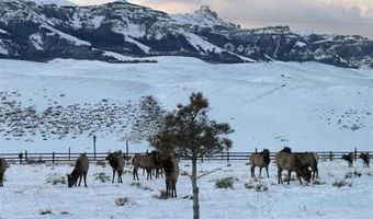 2433 Southfork Rd, Cody, WY 82414