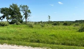 Sunset Boulevard 52, Alanson, MI 49706