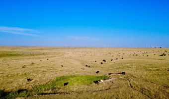 Oldham County Grass +/- 1 478, Adrian, TX 79001