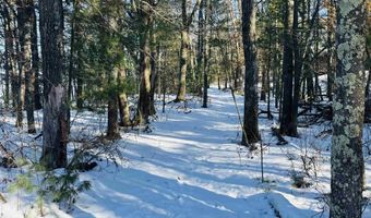 717 W 17th Ln, Arkdale, WI 54613