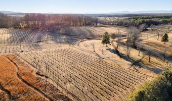 4500 WINERY Ln, Barboursville, VA 22923