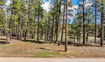 841 Beaver Creek Dr, Bayfield, CO 81122