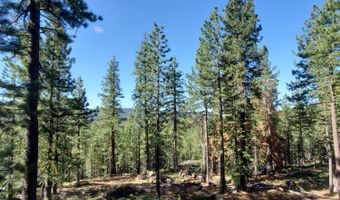 1361 Summit View Rd, Arnold, CA 95223