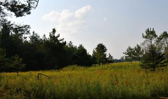 9537 LAKEVIEW Rd, Alanson, MI 49706