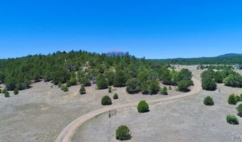 22750 County Rd 46, Aguilar, CO 81020