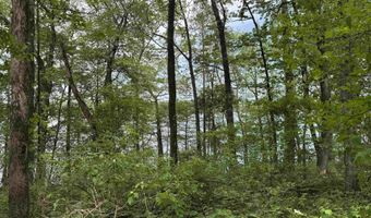 Tract 1 East Bay Road, Atkins, AR 72823