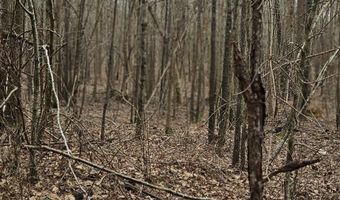 0 HWY 220, Lincolnton, GA 30817