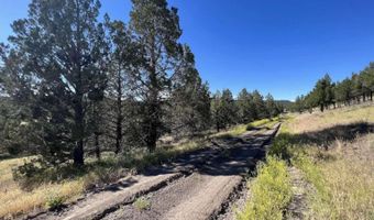639 Pheasant Dr, Alturas, CA 96101