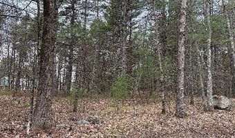 Lot 87-1-2 Drown Road, Alfred, ME 04002