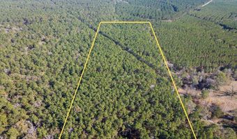 527 Forest Service Rd, Apple Springs, TX 75926