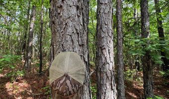 HWY 9, Banner, MS 38913