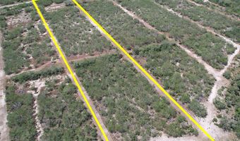 179 County Road 1461 Lot 9, Alice, TX 78332