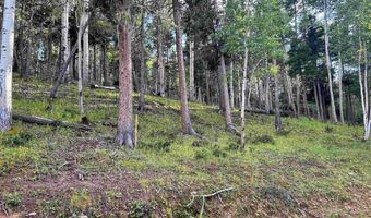 Lot 1283 Via del Rey, Angel Fire, NM 87710