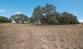 765 Annabelle, Bulverde, TX 78163