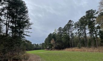 7901 Ashleigh Rd, Blackville, SC 29817