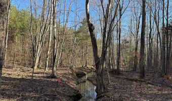 MOUNTAIN CUT RD lot C, Appomattox, VA 24522