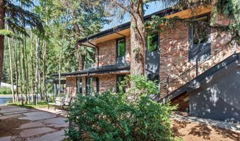 100 E Main St 1, Aspen, CO 81611