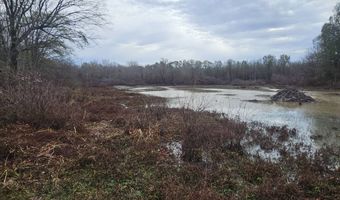 001 CR 532, Avalon, MS 38917