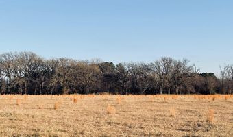 TBD CR 1560, Alba, TX 75410