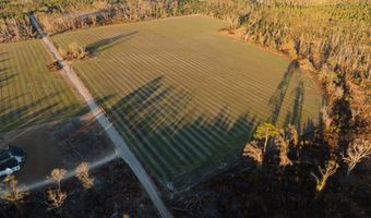 0 Chesapeake Rd Lot 3, Alma, GA 31510