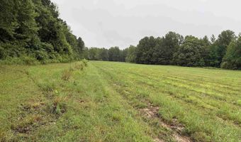 100 Acres Highway 34 W, Beech Grove, AR 72412
