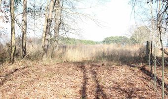 451 Johnson Rd, Albertville, AL 35951