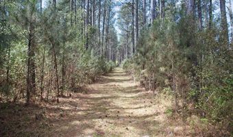 1342 Thomas Hamilton Rd, Brunson, SC 29911