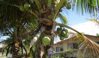 390 MOHOULI St, Hilo, HI 96720