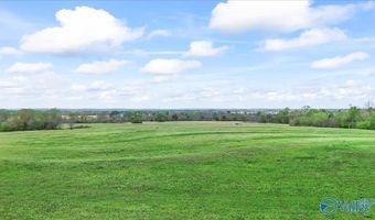 435 Sneadview Rd, Altoona, AL 35952