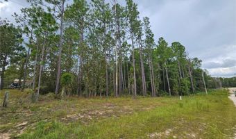 11730 NE 101ST Ter, Archer, FL 32618