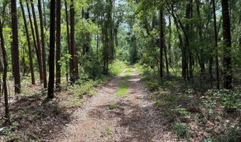 LOT66 PEACOCK HIDEAWAY, Live Oak, FL 32060