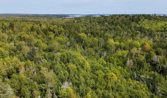 M20L2 E Side Road, Addison, ME 04606