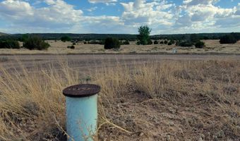 1 County Road 5088, Concho, AZ 85924