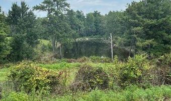 4 SOCIETY HILL Rd, Auburn, AL 36830