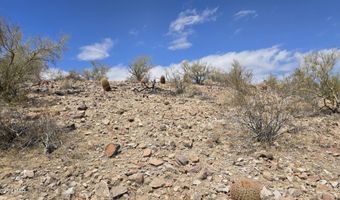 10 Acres 121-02-020, Yucca, AZ 86438