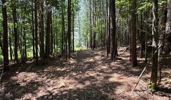 0 Highway 140 Tract D NW, Adairsville, GA 30103