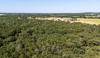 FM 1655 Trail, Alvord, TX 76225