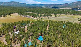 20 County Rd N2120, Alpine, AZ 85920