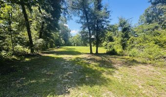 1042 Lake Cadeli Rd, Bartow, GA 30413