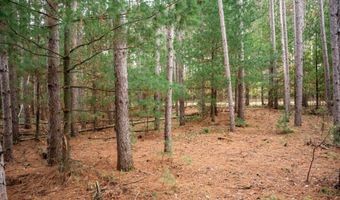 Lot 87 20th Avenue, Arkdale, WI 54613