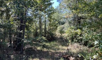0 John S Horton, Adrian, GA 31002