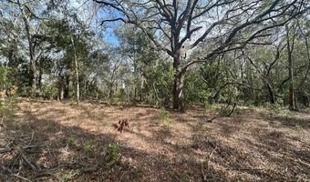 NW County Road 236, Bell, FL 32619