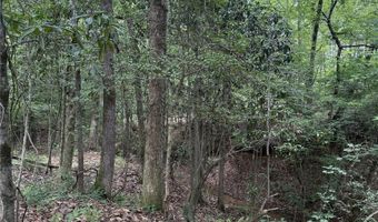 154 County Road 38 Acres, Banks, AL 36005