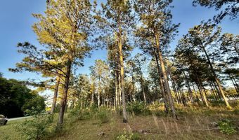 506 Nature Trl, Blackville, SC 29817