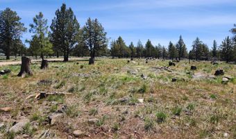 65808 Highway 140, Bly, OR 97622
