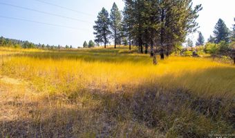 Summitview Dr, Ahsahka, ID 83520