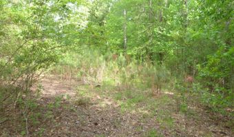 Winfield Road, Appling, GA 30802