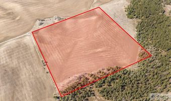 E 700 N, Ashton, ID 83420